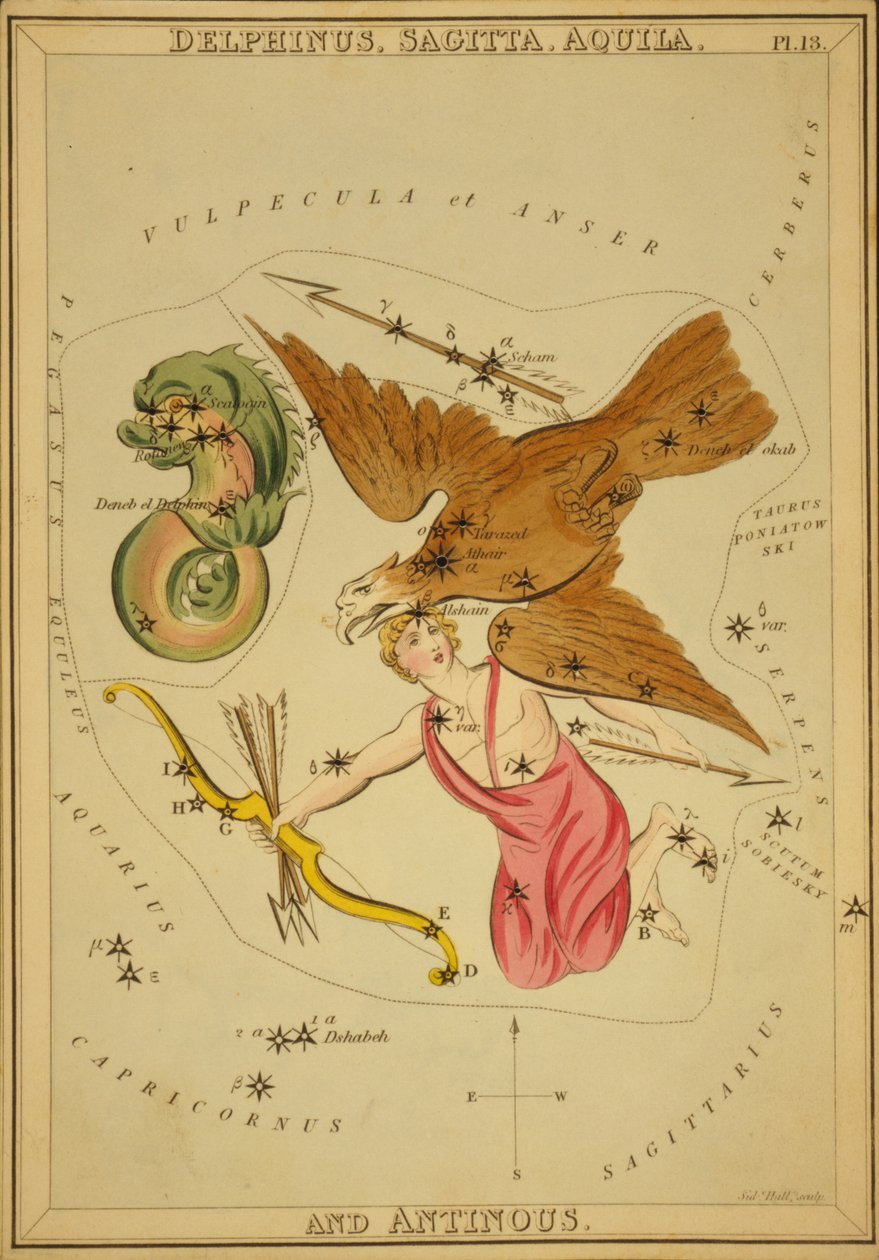 Golfinho, Sagitário, Áquila e Antinous, Ilustração do 