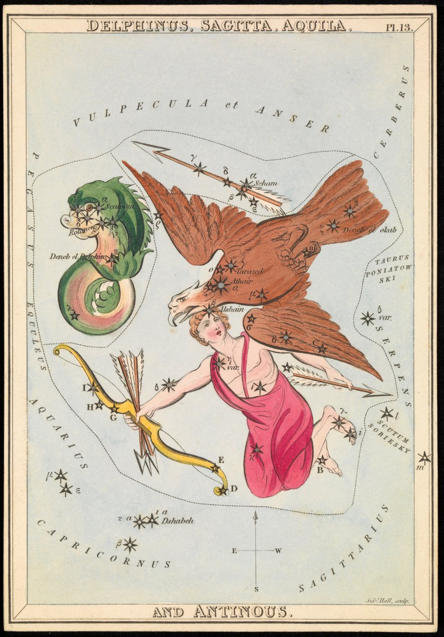 Delphinus, Sagitta, Aquila e Antinous, c.1825 (cartão, papel, tecido) de Sydney Hall