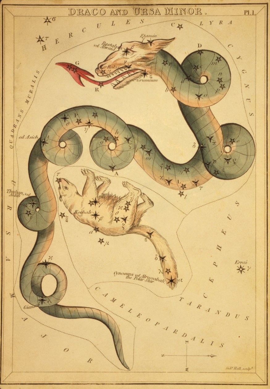 Draco e Ursa Menor, ilustração de 