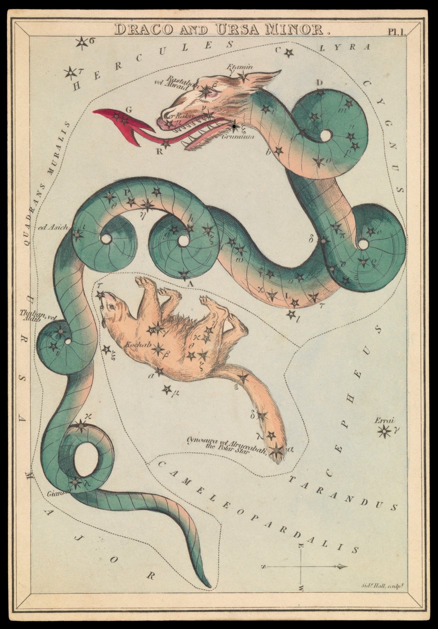 Draco e Ursa Menor, c.1825 (cartão, papel, tecido) de Sydney Hall