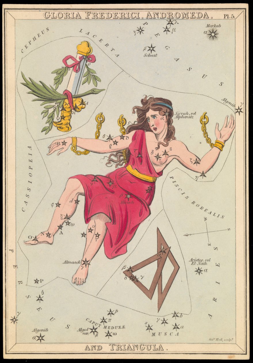 Gloria Frederich, Andrómeda e Triangula, c.1825 (cartão, papel, tecido) de Sydney Hall