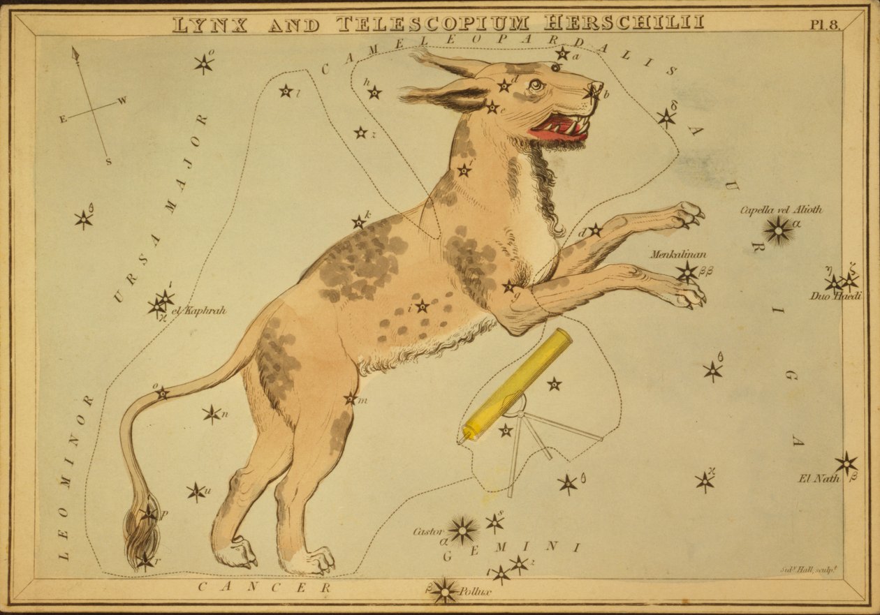 Lynx e Telescopium Herschilii, ilustração de 