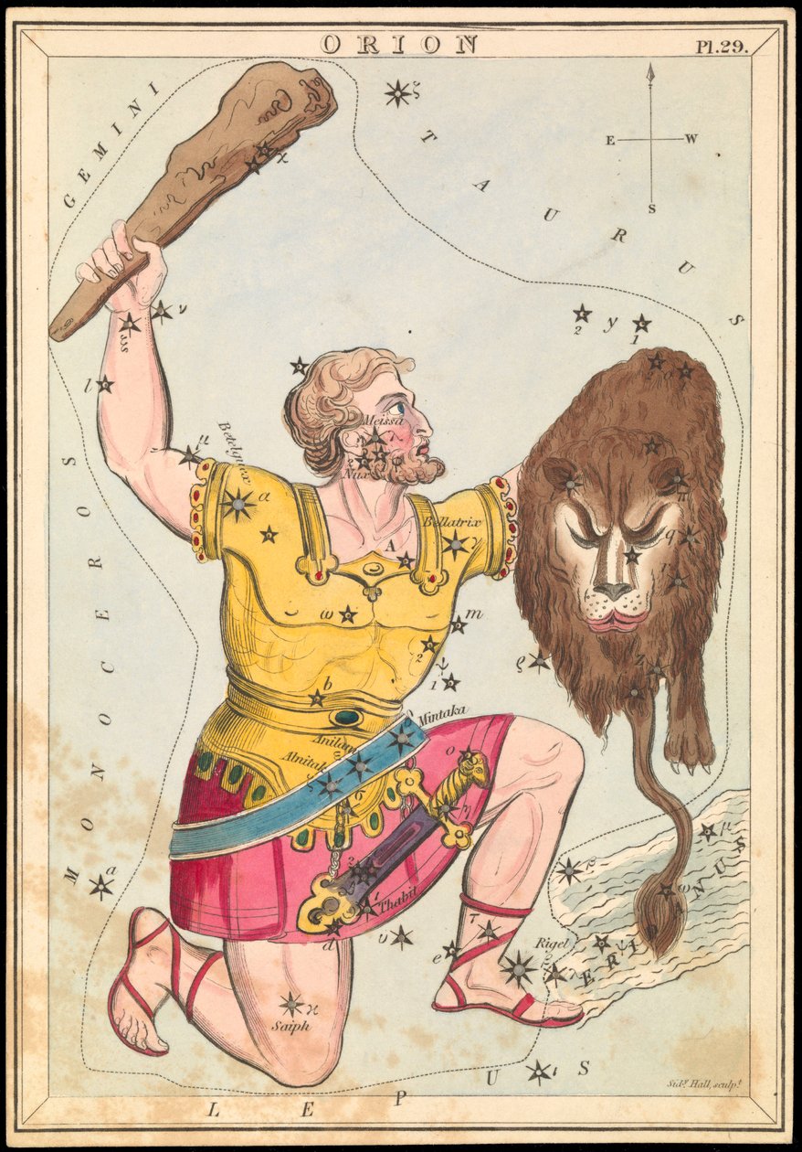 Orion, c.1825 (cartão, papel, tecido) de Sydney Hall