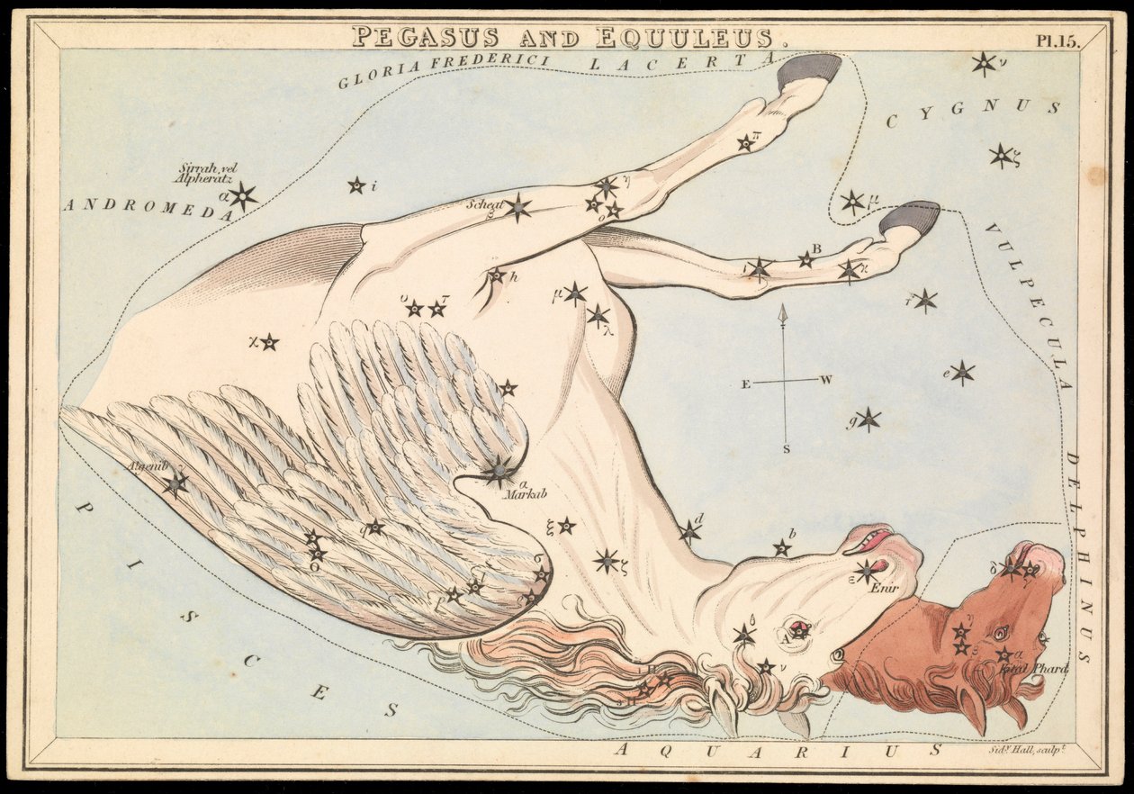 Pegasus e Equuleus, c.1825 (cartão, papel, tecido) de Sydney Hall