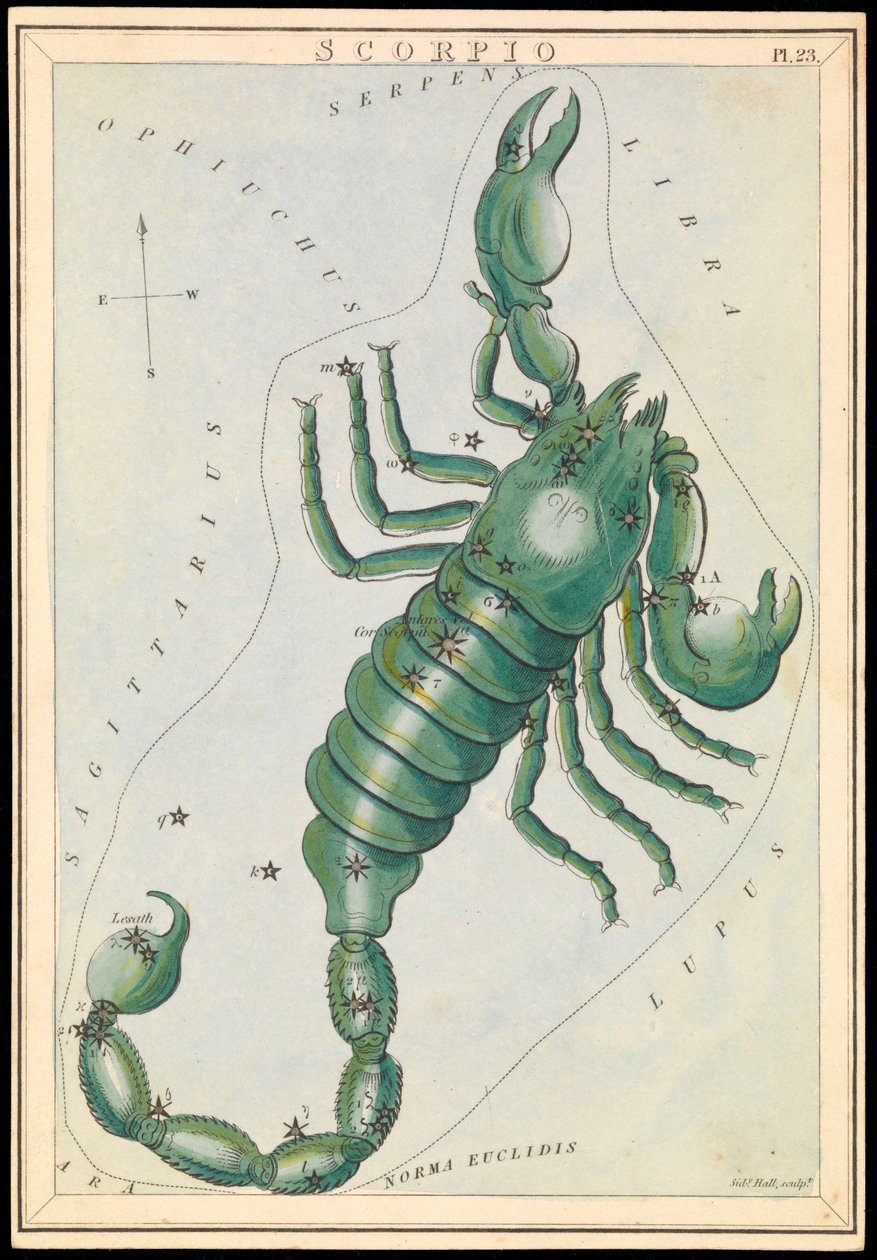 Escorpião, c.1825 (cartão, papel, tecido) de Sydney Hall