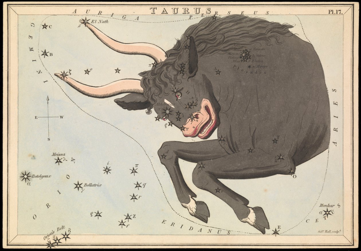 Taurus, c.1825 (cartão, papel, tecido) de Sydney Hall