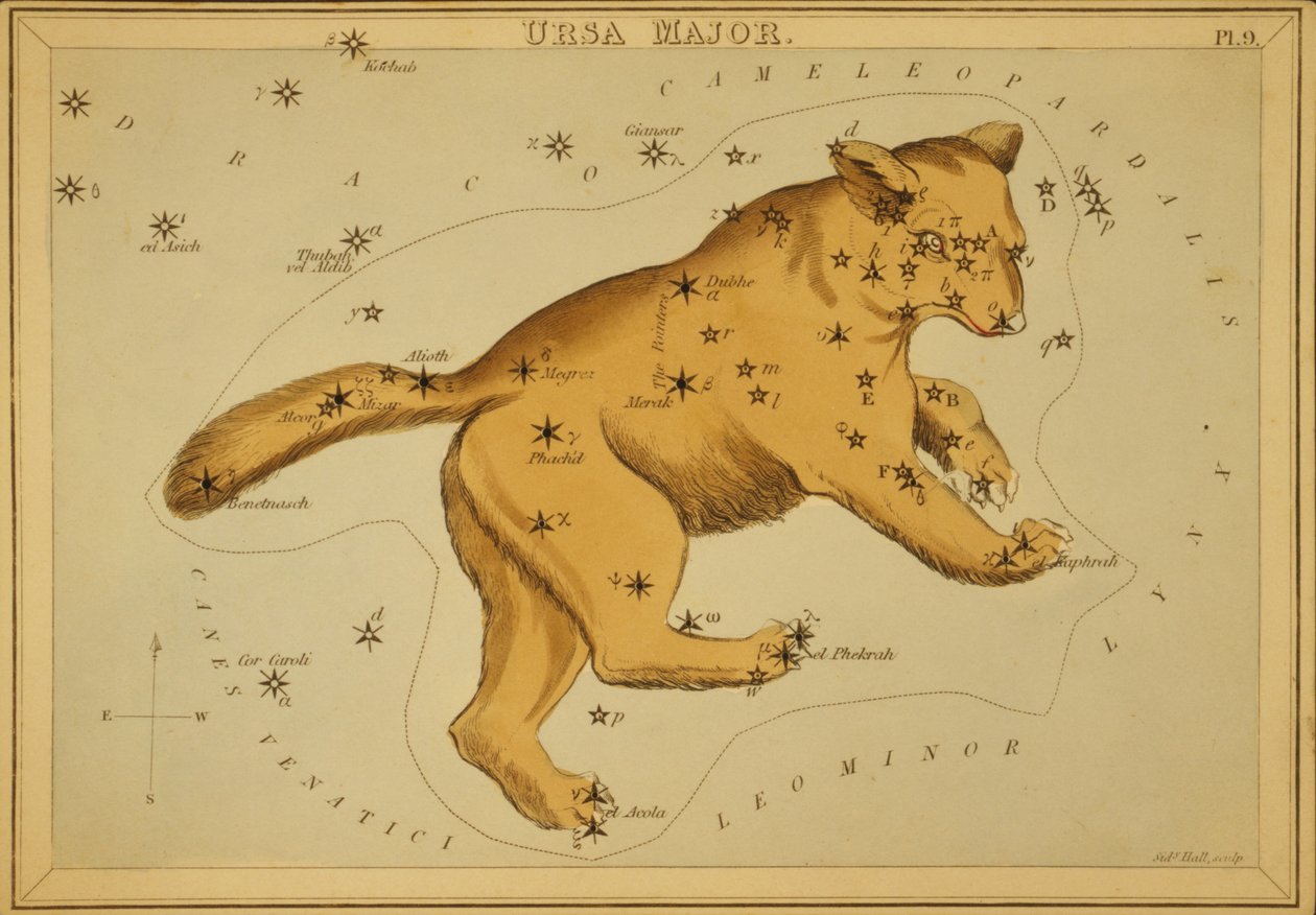 Ursa Maior, ilustração de 
