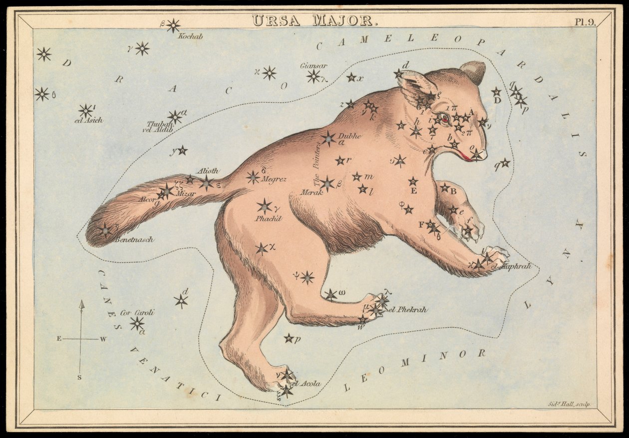 Ursa Maior, c.1825 (cartão, papel, tecido) de Sydney Hall