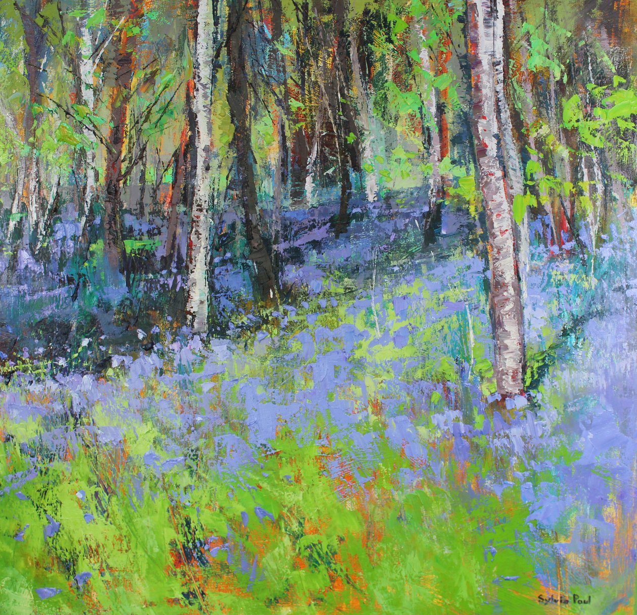Bluebells e Birches de Sylvia Paul