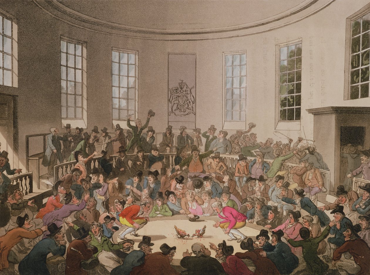 Royal Cock Pit, 1808, gravado por John Bluck (fl.1791-1819) de Pugin and Rowlandson