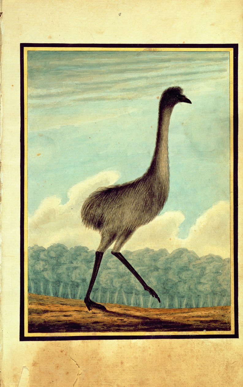 O Emue (sic), 1813 de T.R. Browne