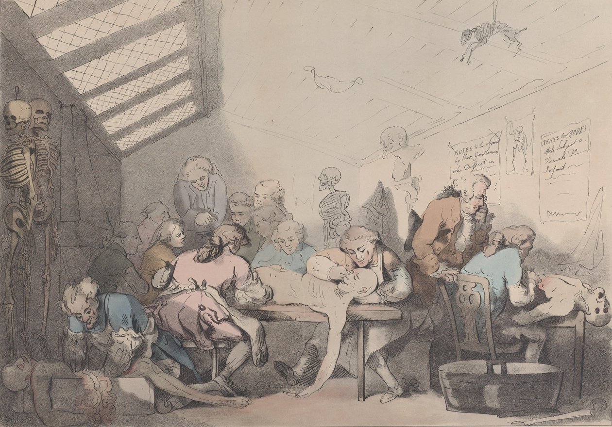 A Sala de Dissecação, ca. 1838. de T. C. Wilson