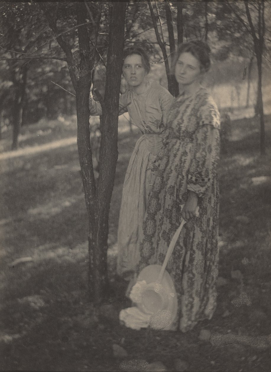 No bosque,c. 1899 (foto) de T. M. Edmiston