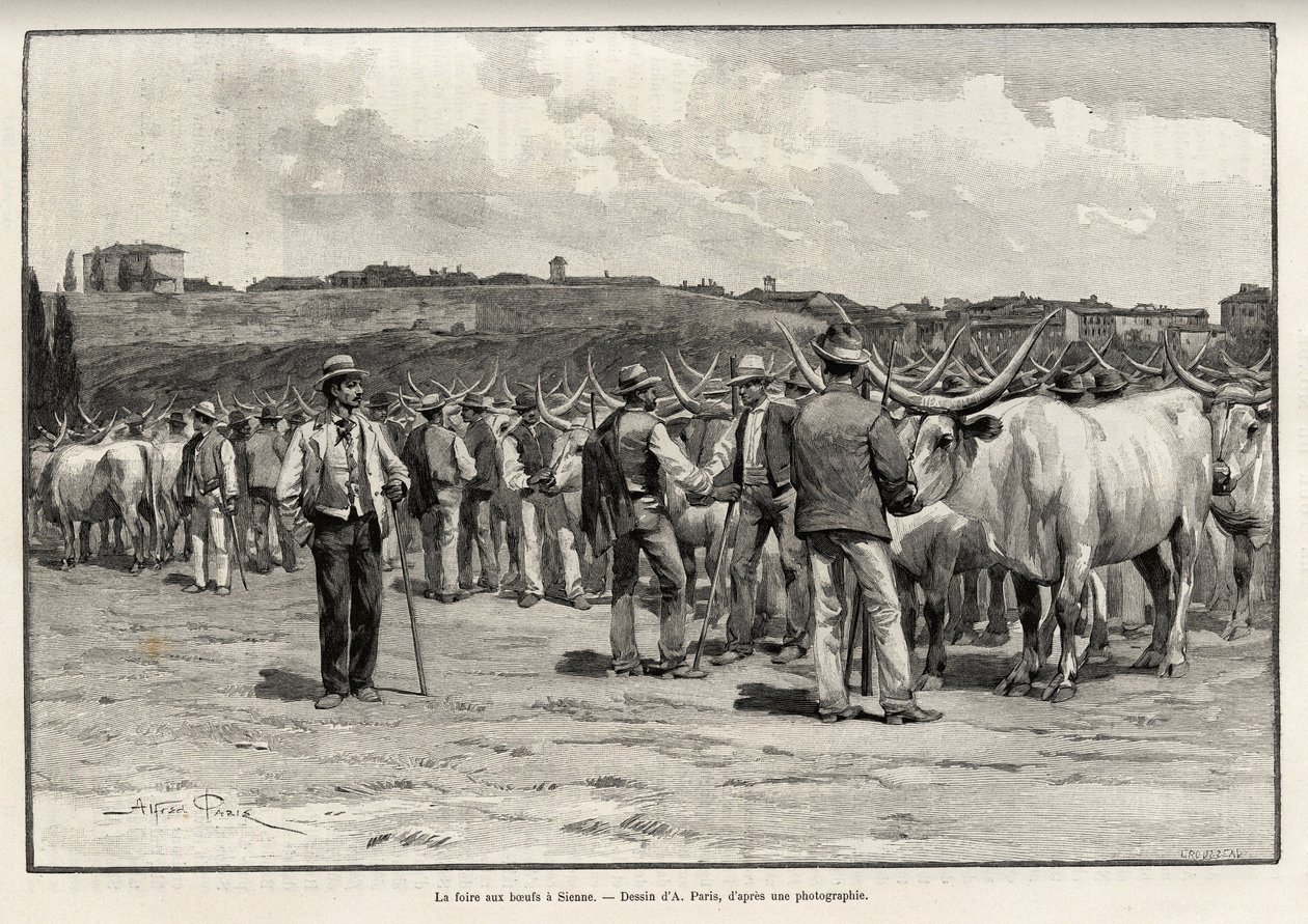 A feira da carne de bovino em Siena (Itália). Gravura de Taylor para ilustrar a história "A travers la Tuscane" de Eugene Muntz (1845-1902), em Le tour du Monde 1892, dirigida por Edouard Charton (1807-1891), Hachette, Paris. de T Taylor