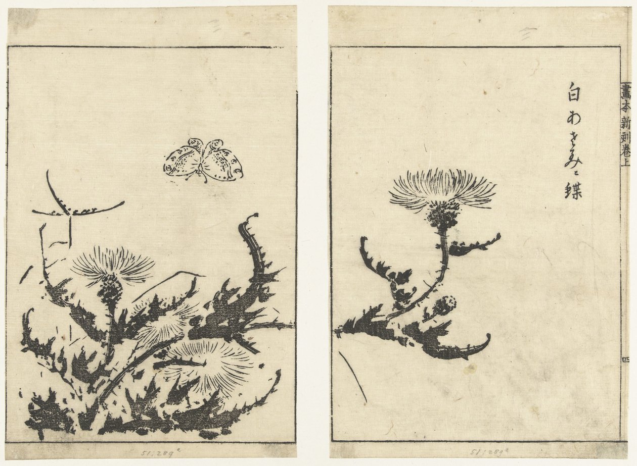 Cardos e borboleta
Gahon shinkoku makiage (título da série) de Tachibana Morikuni (attributed to)