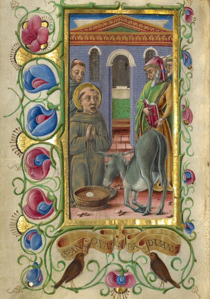 Sir Antohny de Pádua de Taddeo Crivelli