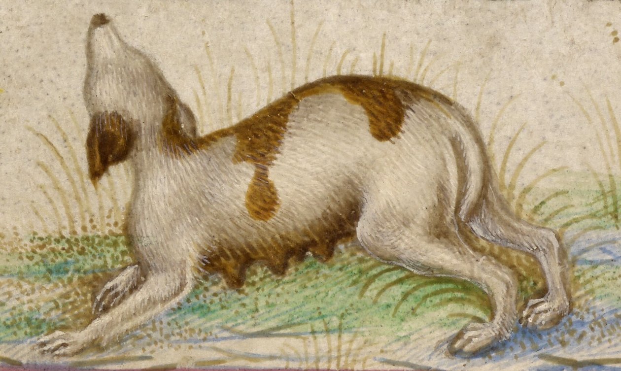 Horas de Gualenghi-d