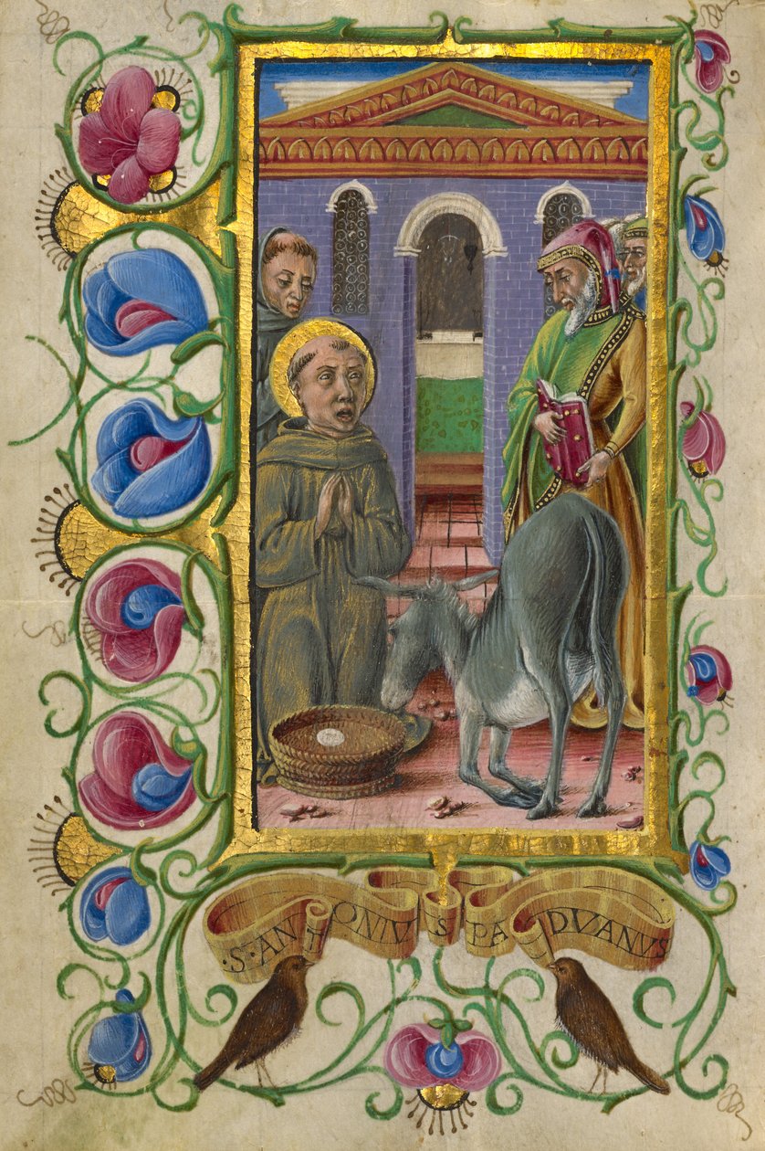 Santo António de Pádua de Taddeo Crivelli