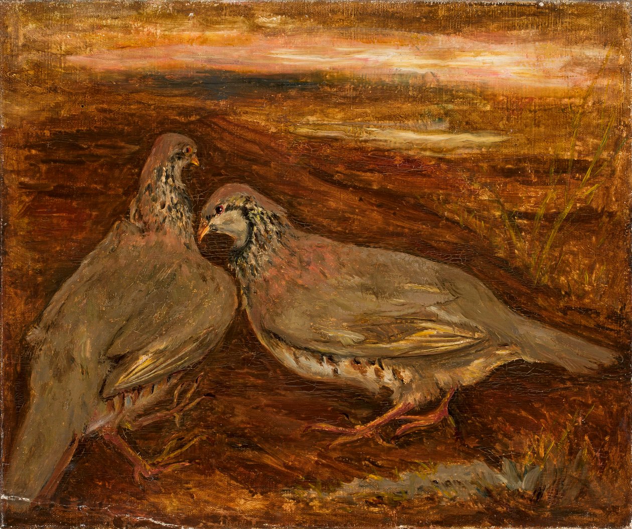Dois pássaros de Tadeusz Makowski