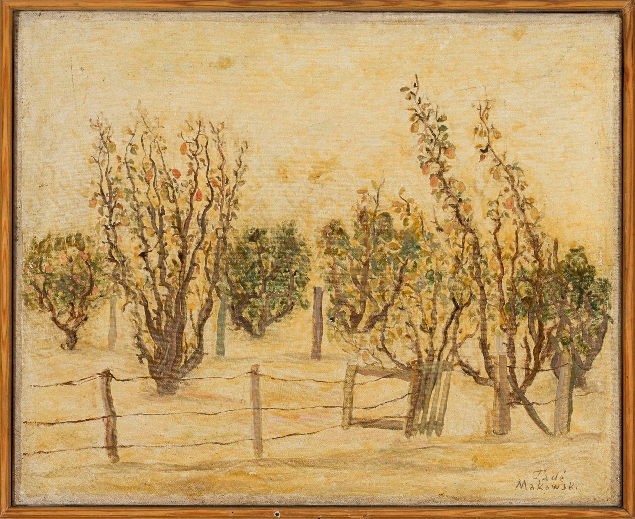 Agora de Tadeusz Makowski