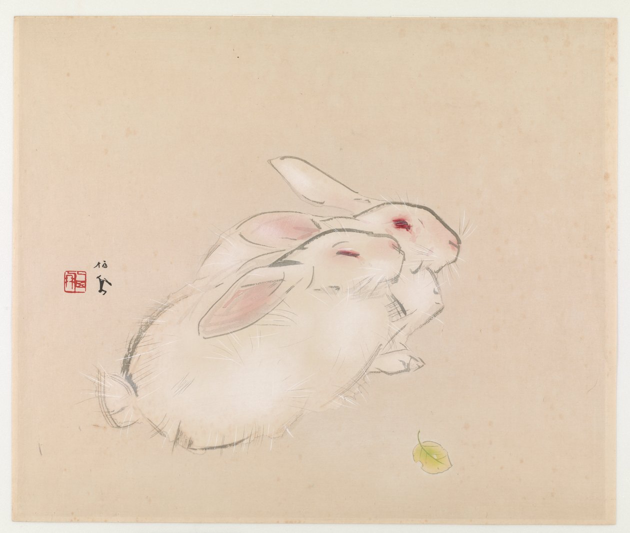 Dois coelhos (impressão em xilogravura a cores) de Takeuchi Seiho