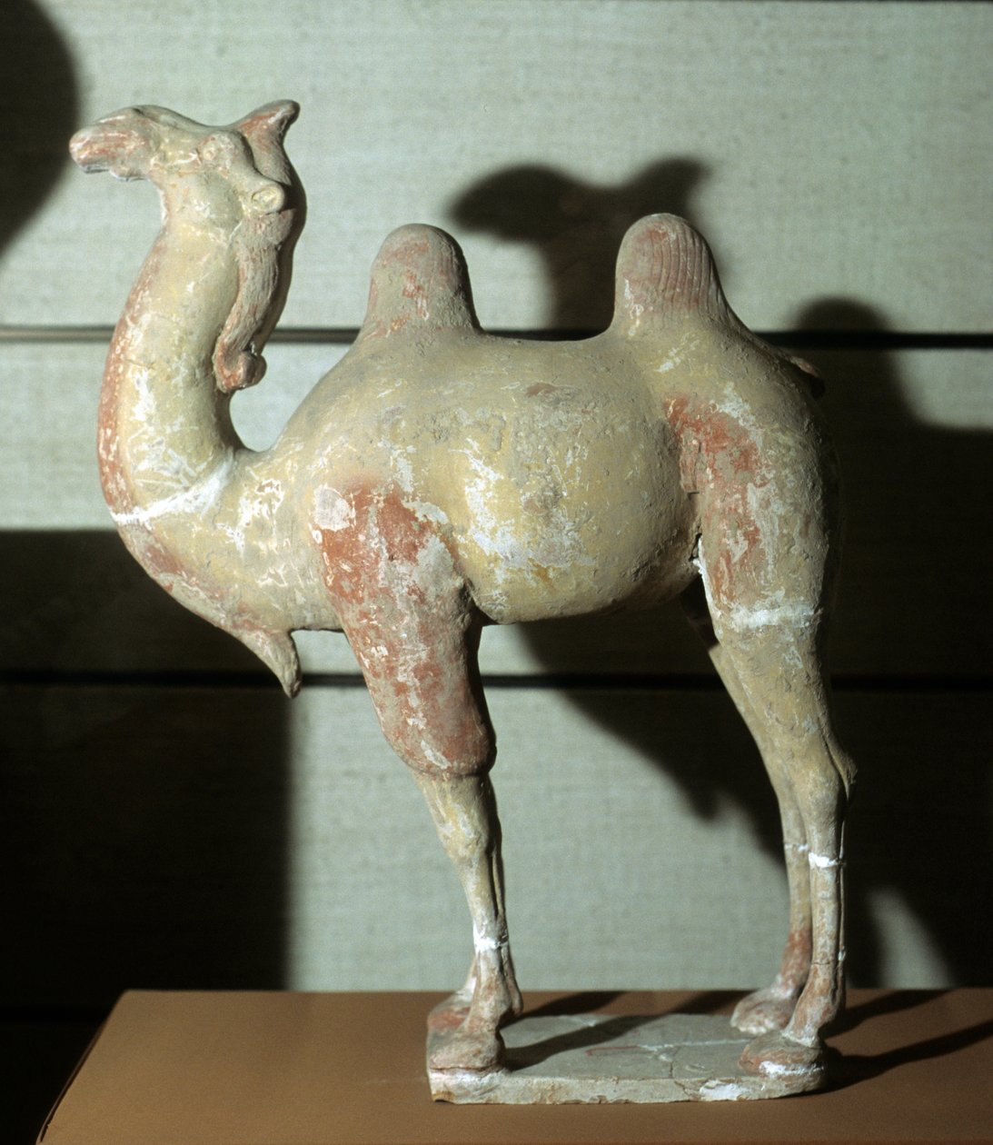 Camelo colorido, objecto funerário, 618-907 (terracota) de Tang Dynasty Chinese School