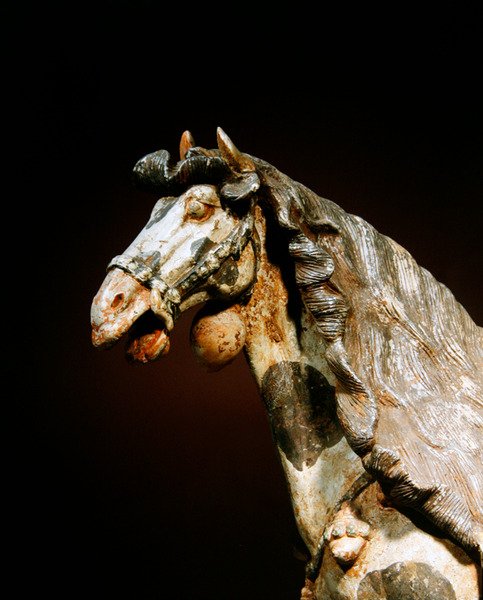 Detalhe de um cavalo, final do século VII - início do século VIII (barro com vestígios de pigmento e dourado) de Tang Dynasty Chinese School