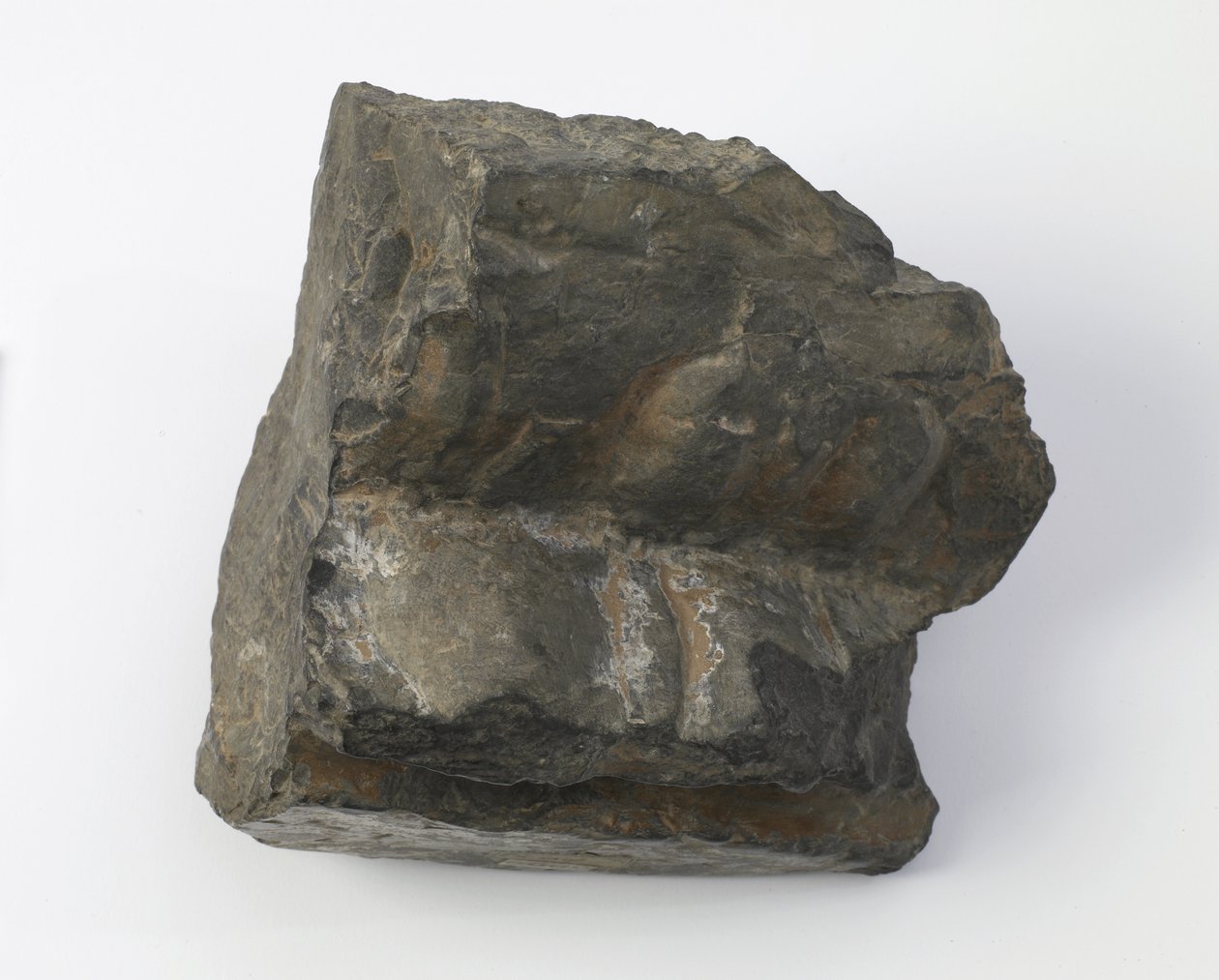 Fragmento de um pedestal de lótus de Tang Dynasty Chinese School