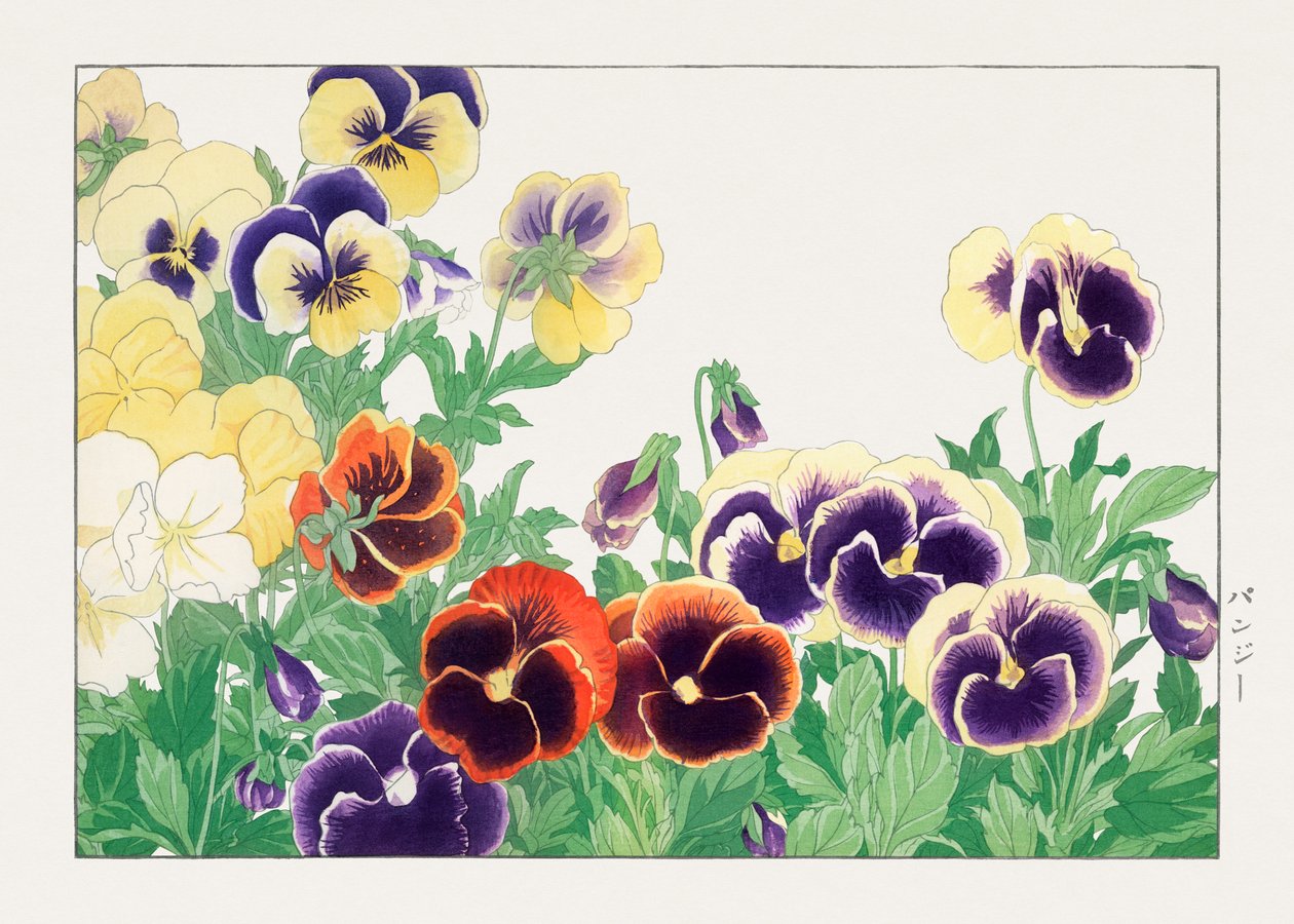 Flor de amor-perfeito vintage de "Seiyou Sokazufu" de Tanigami Konan