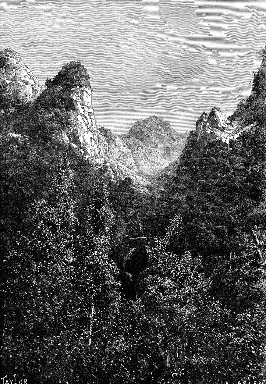 Madeira, Portugal, 1895. de Taylor