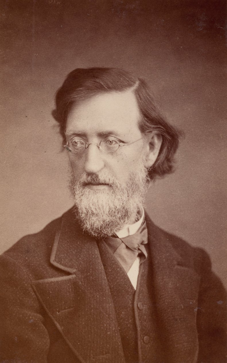 Retrato de John Peter Lesley 1819-1903, dezembro de 1875. de Taylor and Brown
