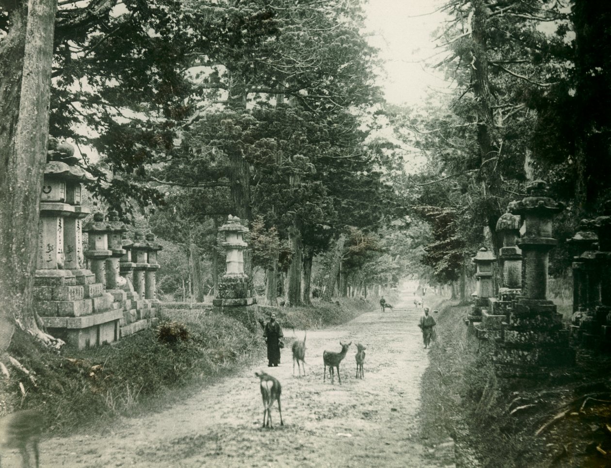  de Teijiro Takagi