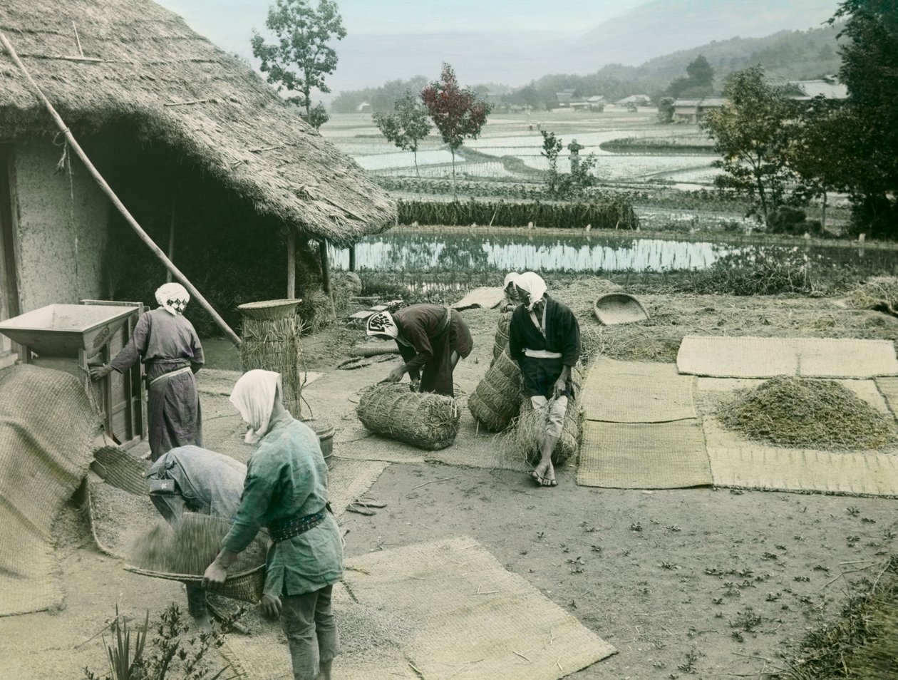 Camponeses a joeirar arroz na orla dos arrozais no Japão, cerca de 1900 - 1915 (fotografia) de Teijiro Takagi