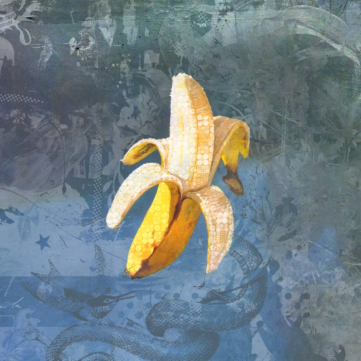 BANANAZ, 2015 (Colagem sobre tela) de Teis Albers