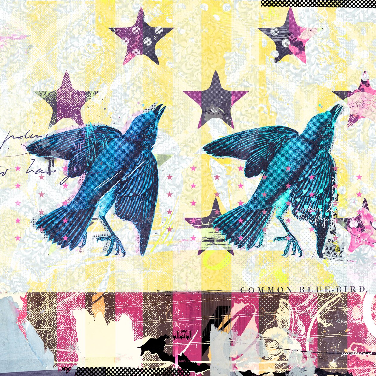 Birds in Serie, 2015 (Colagem sobre tela) de Teis Albers