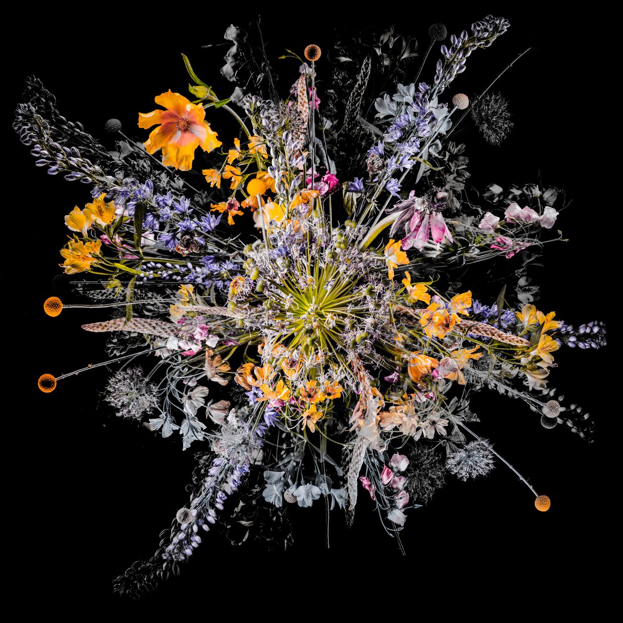Bouquet VII, 2018 (foto) de Teis Albers