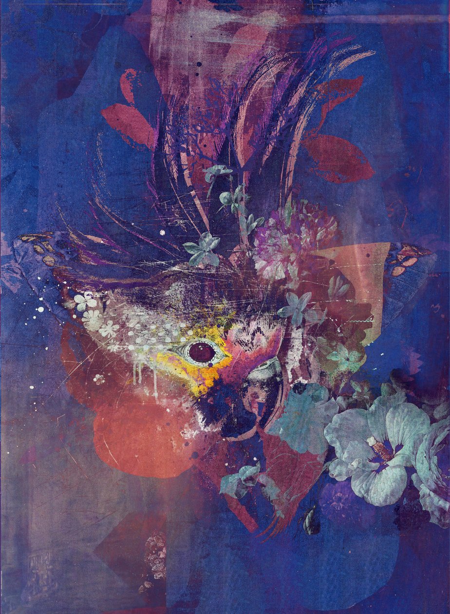 Peacock, 2016 (Colagem sobre tela) de Teis Albers