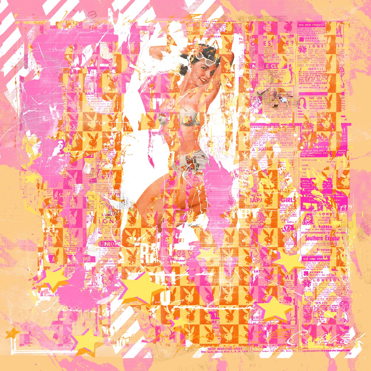 Pinup2, 2014 (mídia mista sobre tela) de Teis Albers