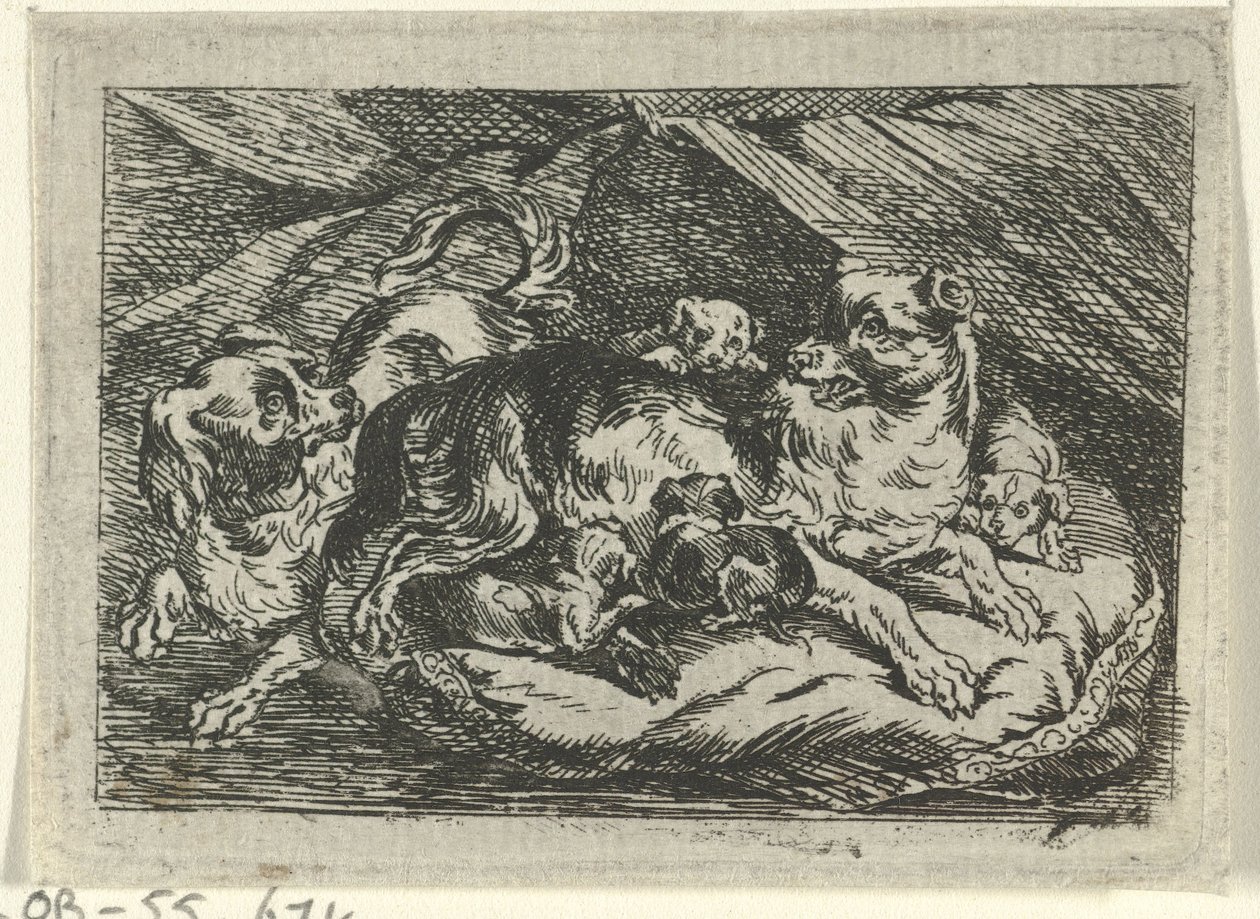 Ninhada de cães jovens de Tethart Philip Christian Haag