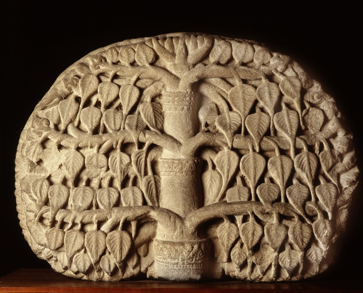 Árvore Bodhi de Thai School