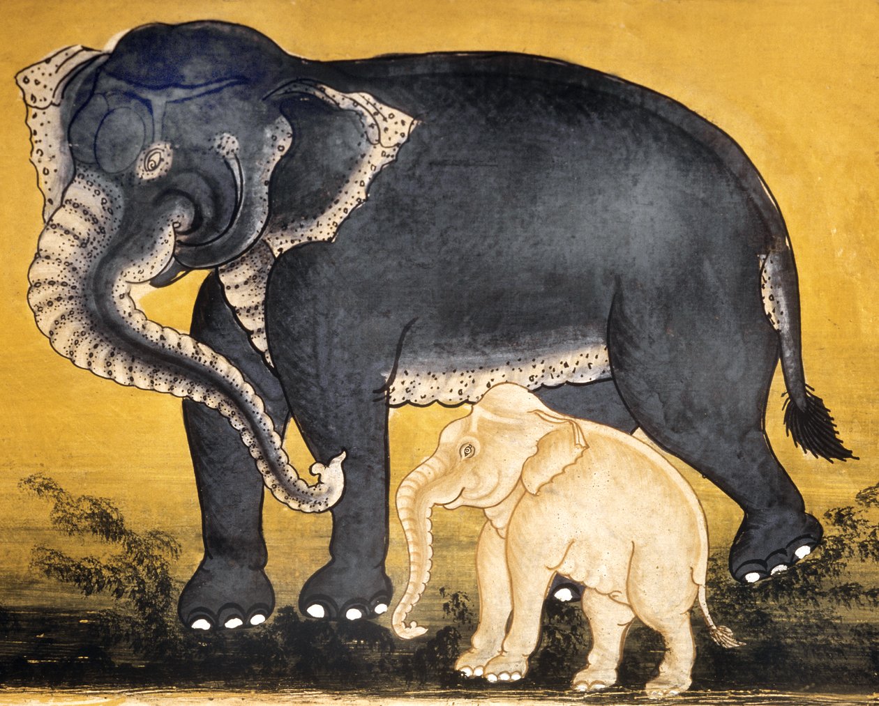 Elefante e bezerro, página de um manuscrito sobre treinamento de elefante (wc no papel) de Thai School