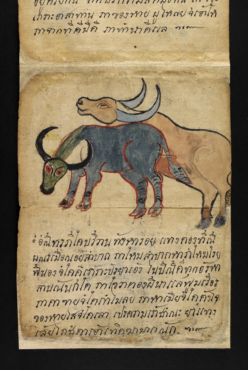 Ou. 16482, f.15 