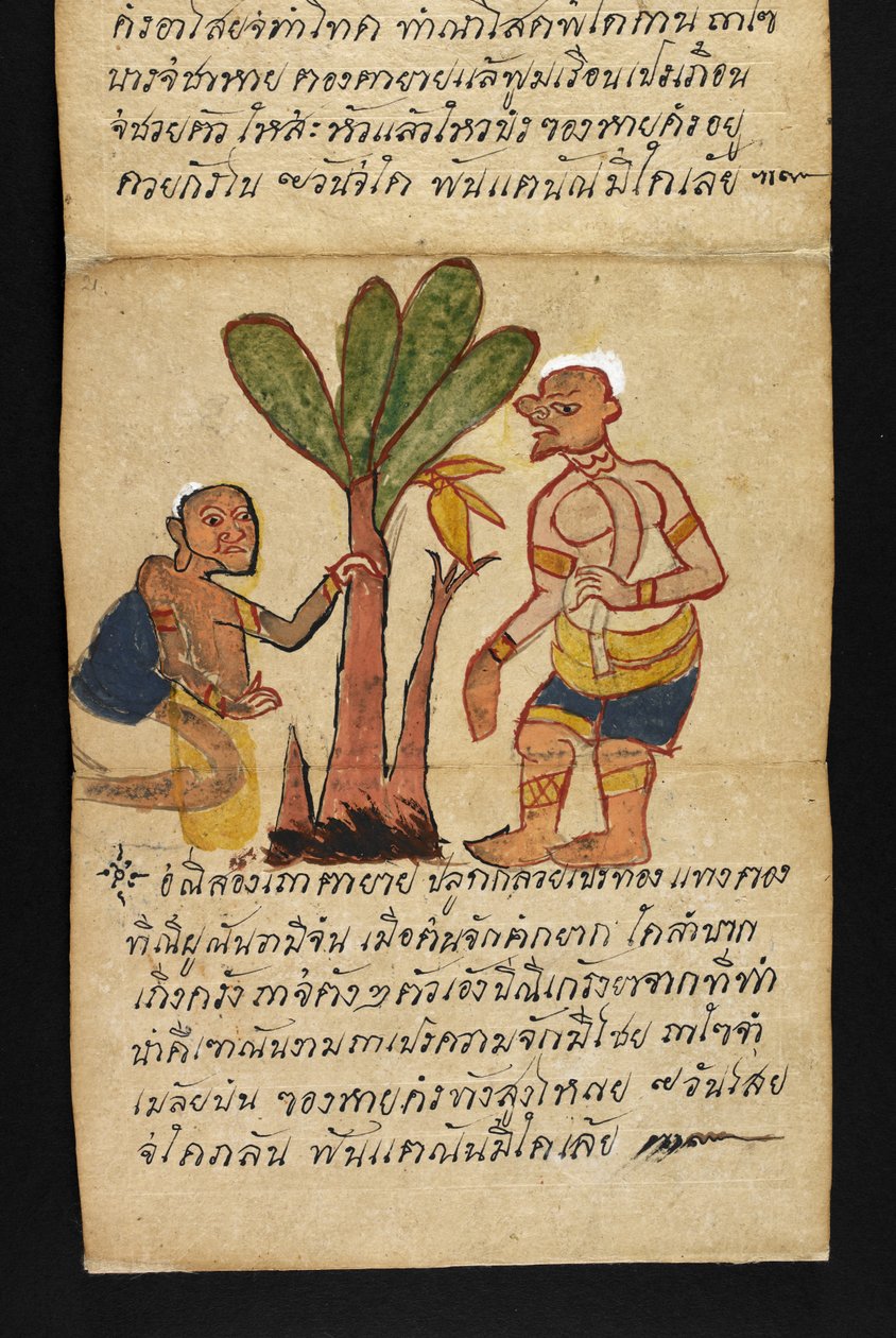 Ou. 16482, f.21 