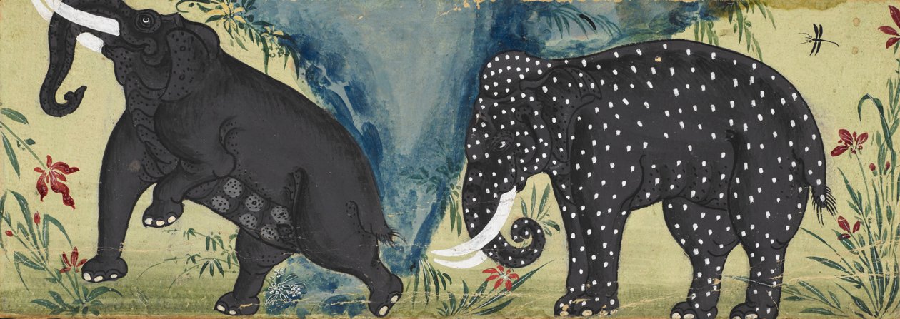 Dois elefantes junto a um rio, um coberto de manchas brancas de Thai School