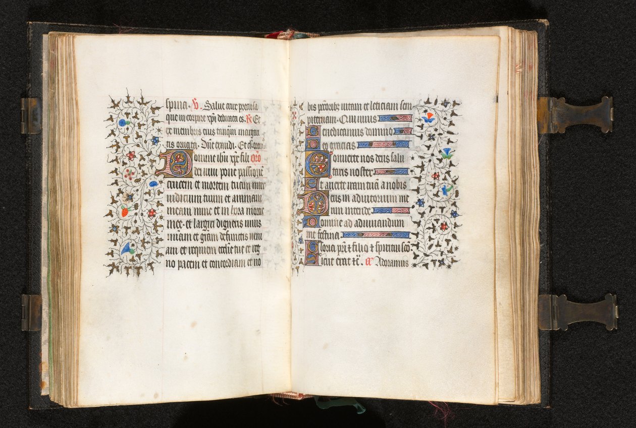 Livro de Horas de Uso de Paris: Fol. 105v, D inicial com borda decorada, c. 1420. de The Bedford Master