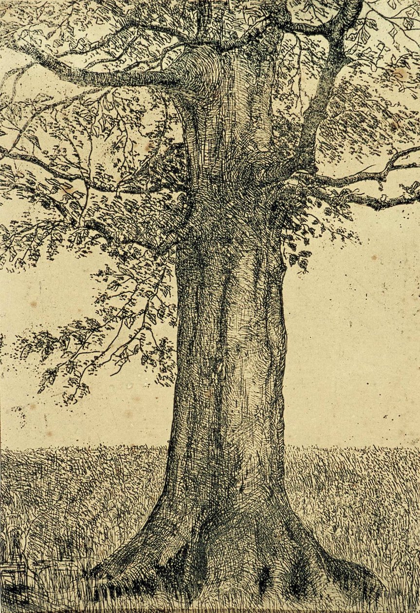 Árvore de Theo van Doesburg