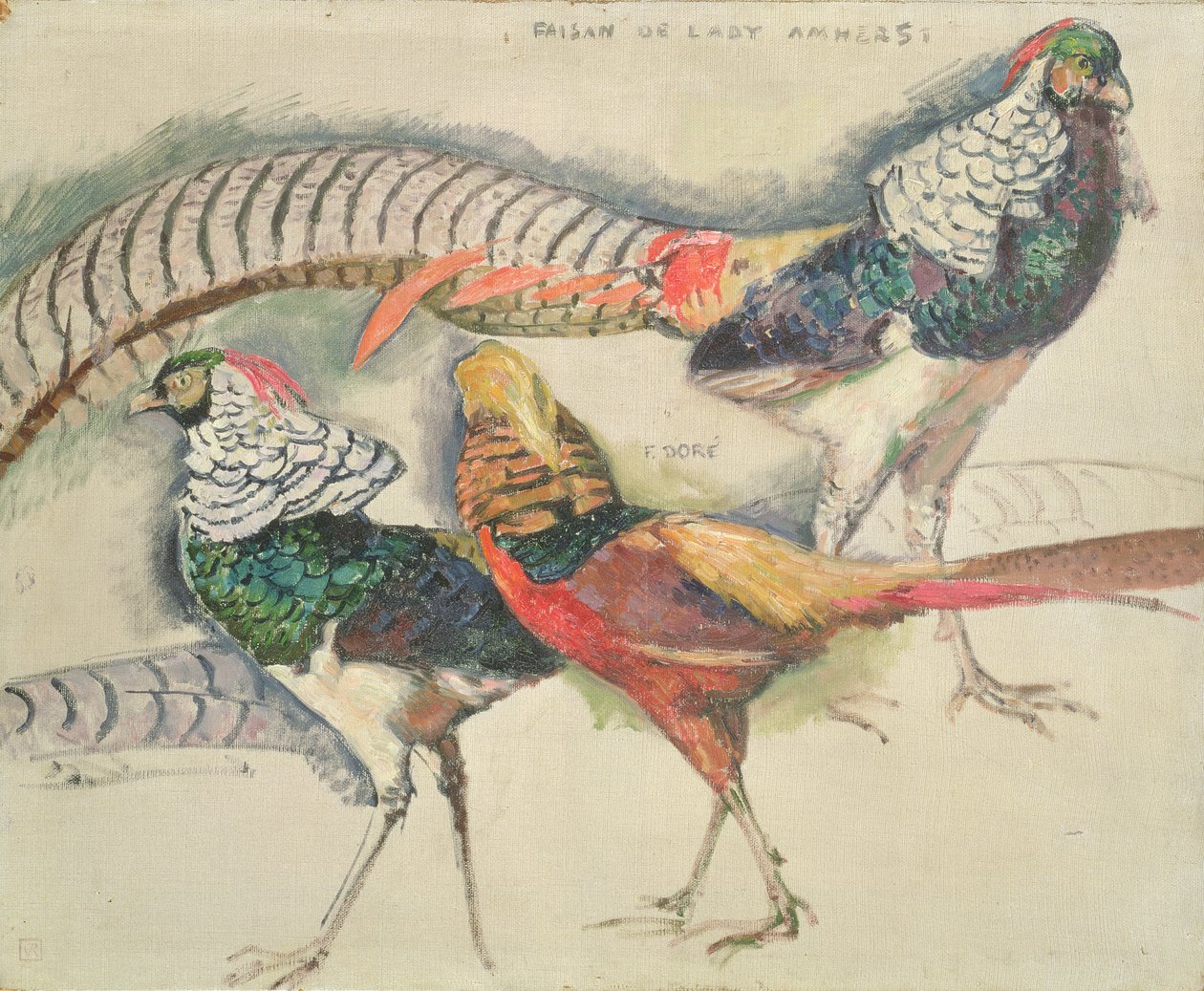 Lady Amherst&39;s Pheasant de Théo van Rysselberghe