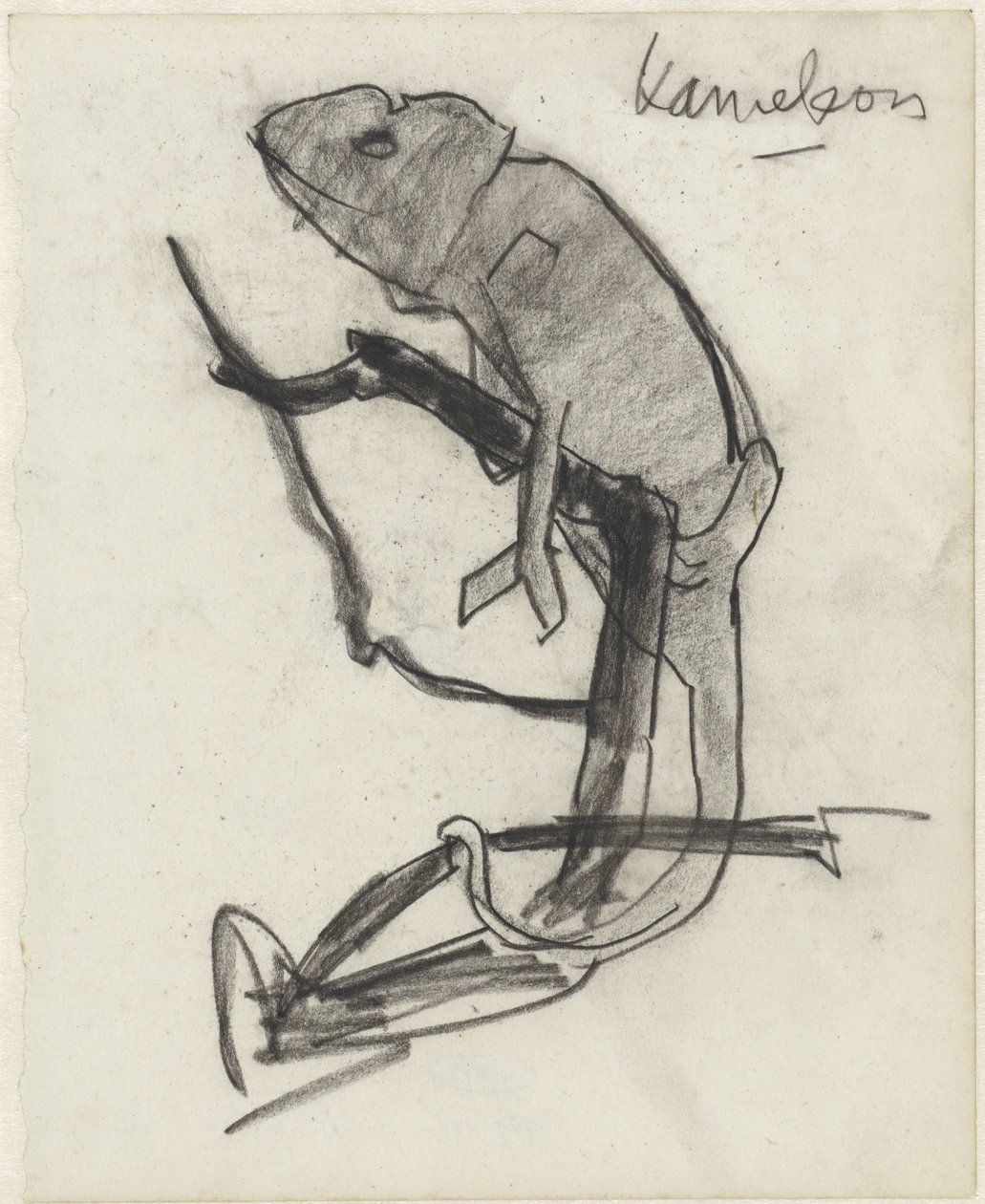 Camaleão de Theo Nieuwenhuis