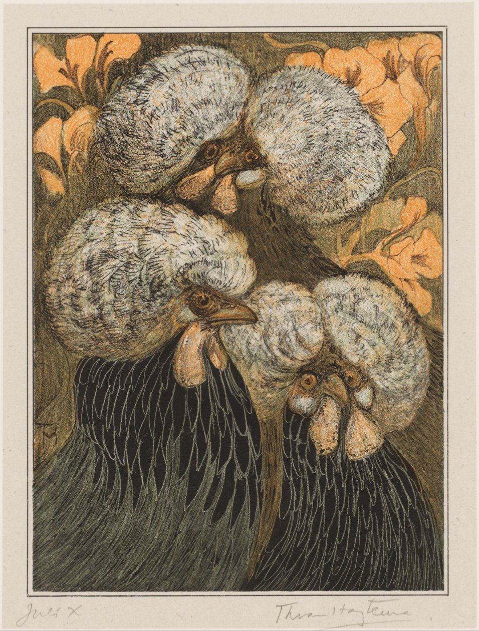 Três frangos tufados de Theo van Hoytema (signed by artist)