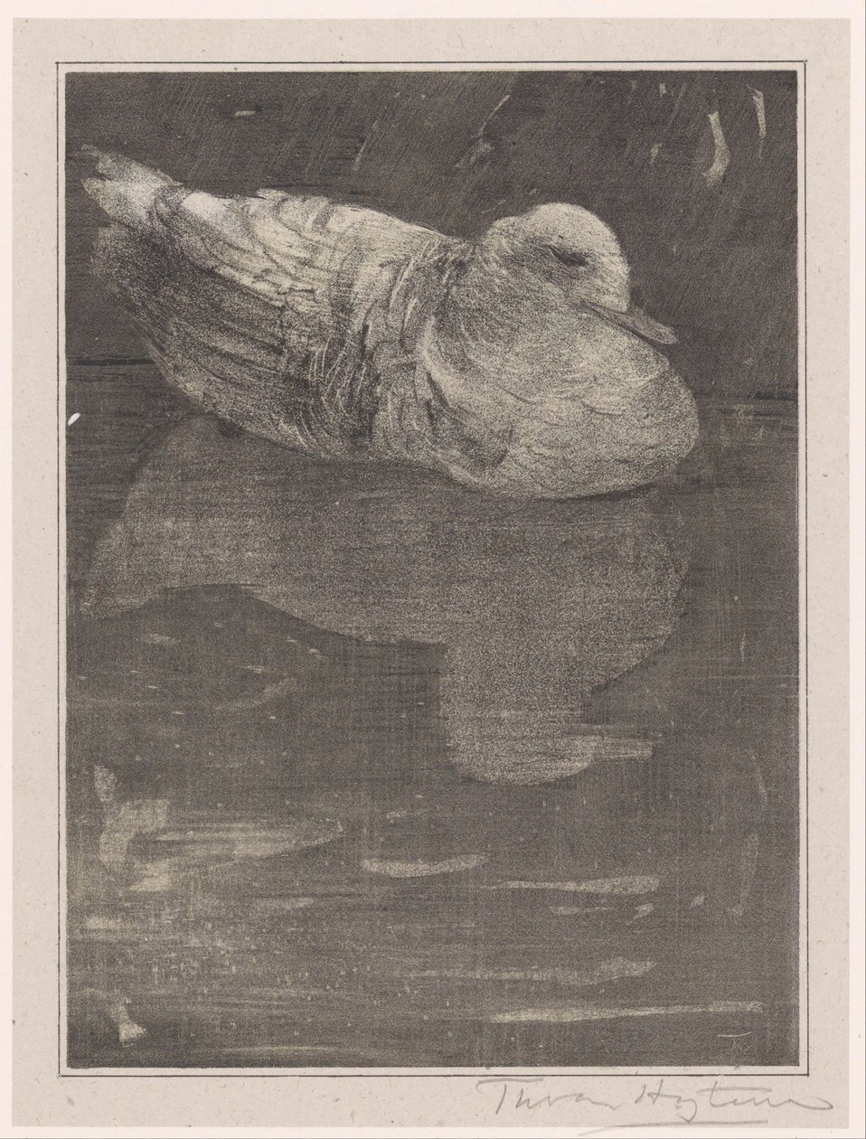 pato flutuante de Theo van Hoytema (signed by artist)